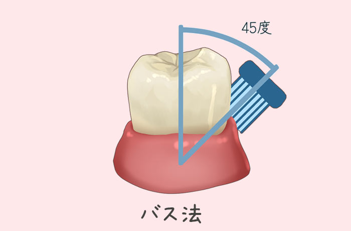 バス法の図解(歯ブラシ45度)